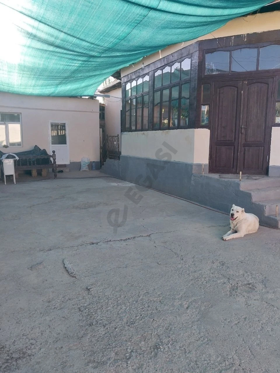 Image 6