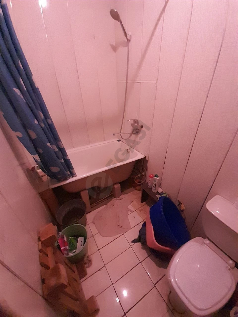 Image 5