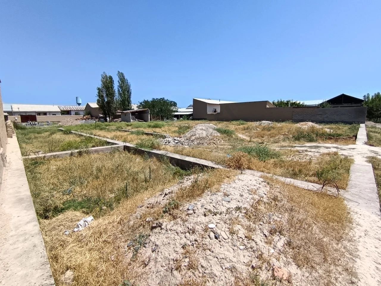 Image 6