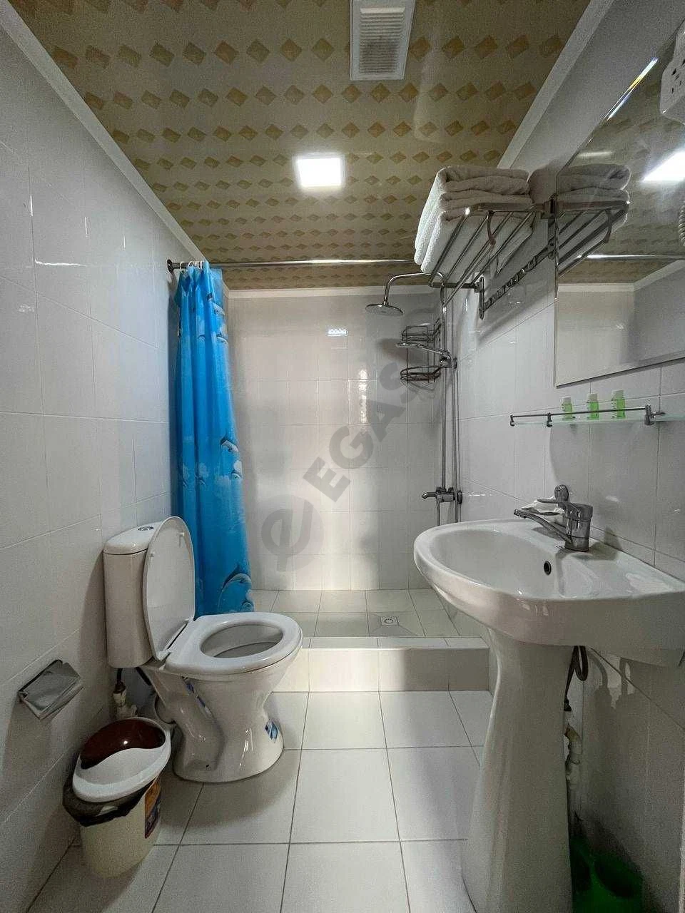 Image 8