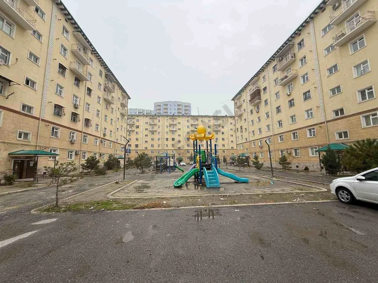 Image 8