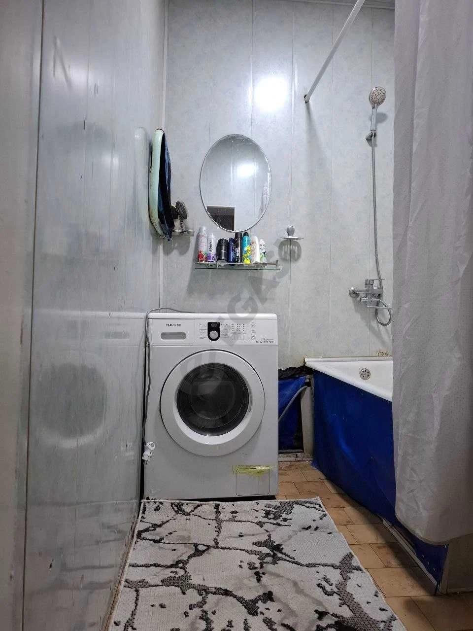 Image 5
