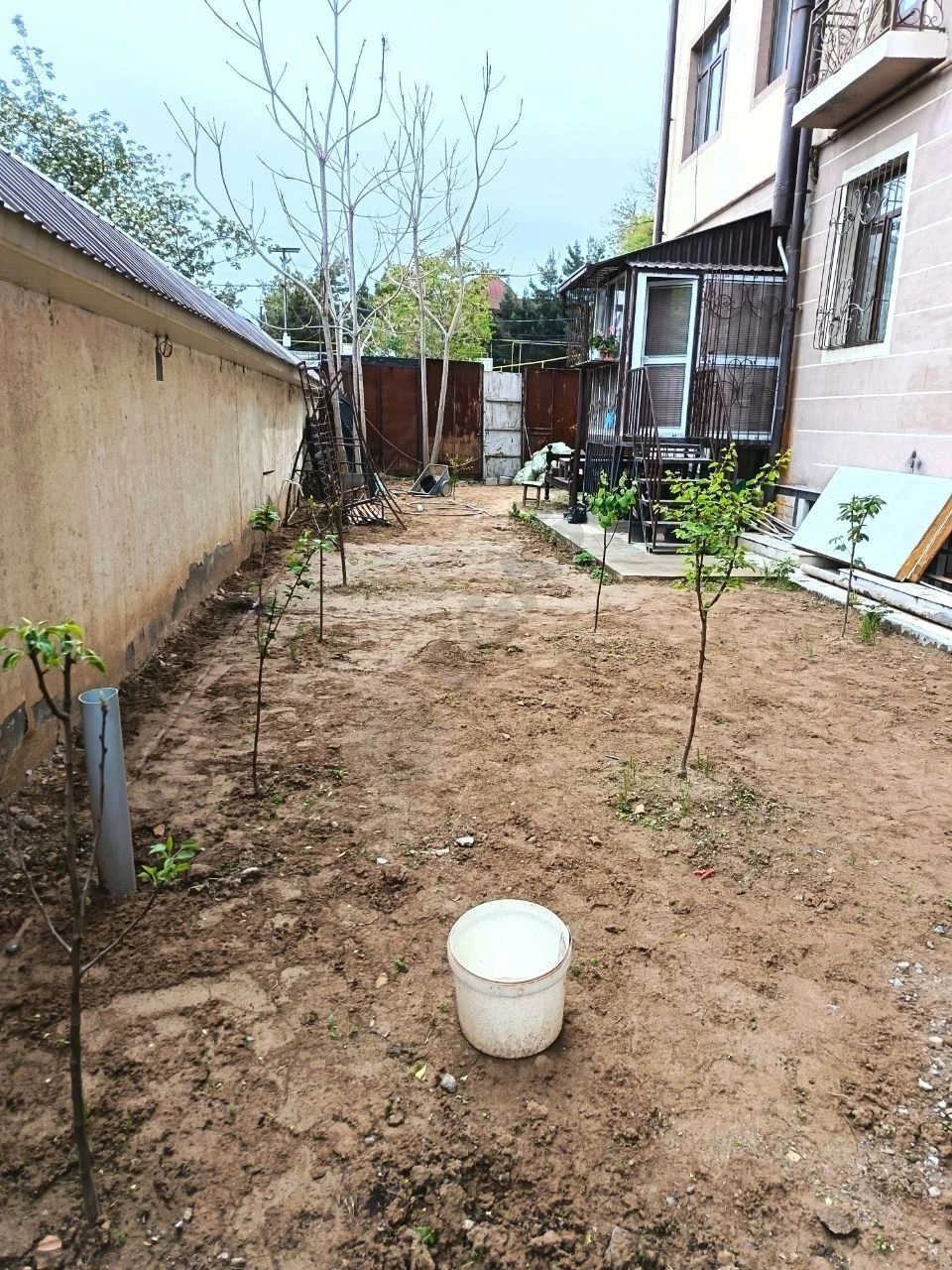 Image 12