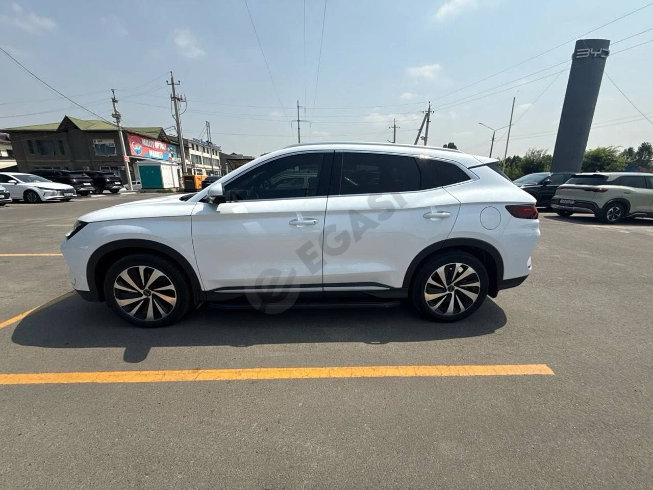 BYD 2024 - Cover Photo