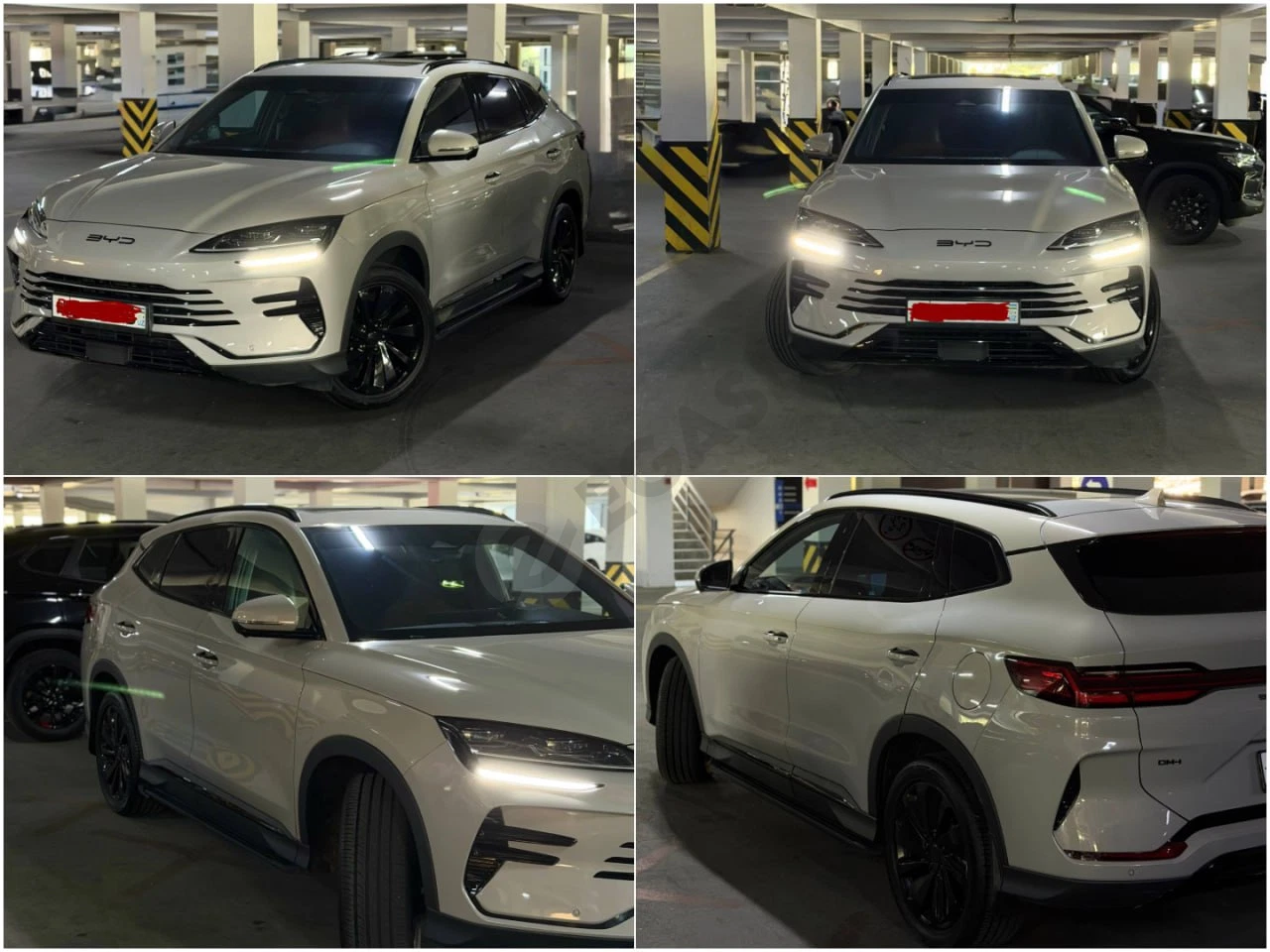 BYD 2024 - Cover Photo