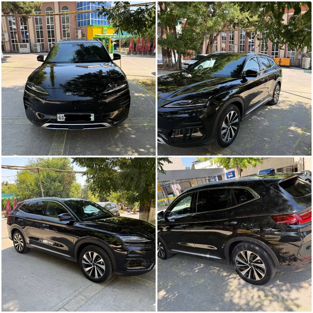 BYD Champion 2023 - Cover Photo