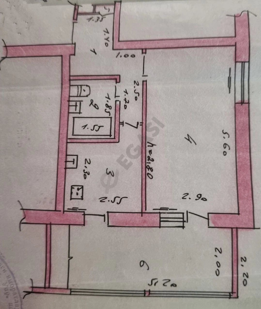 Image 7
