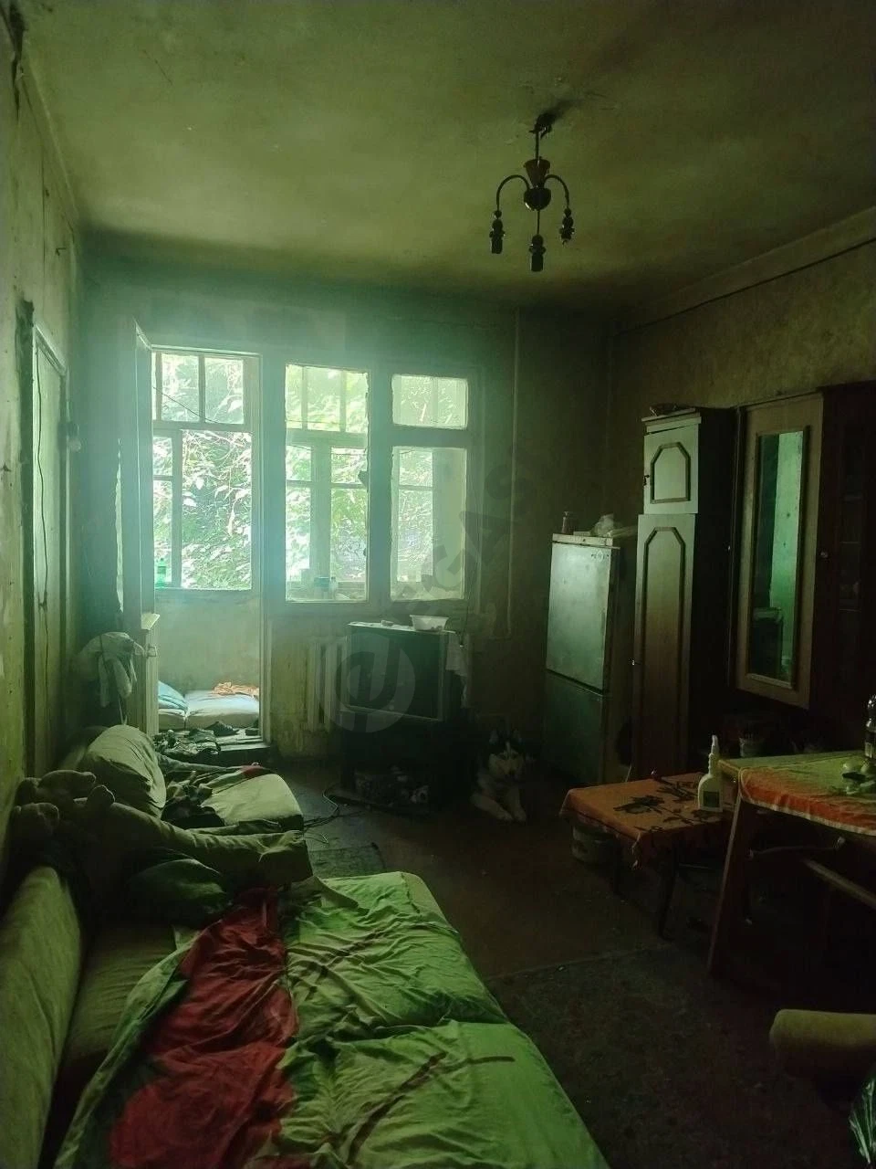 Image 6