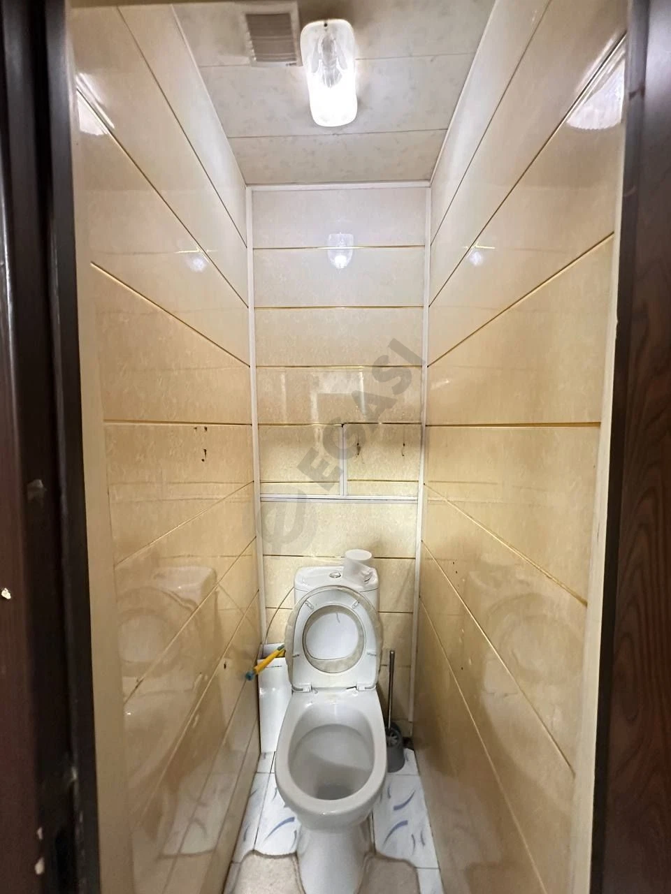 Image 8