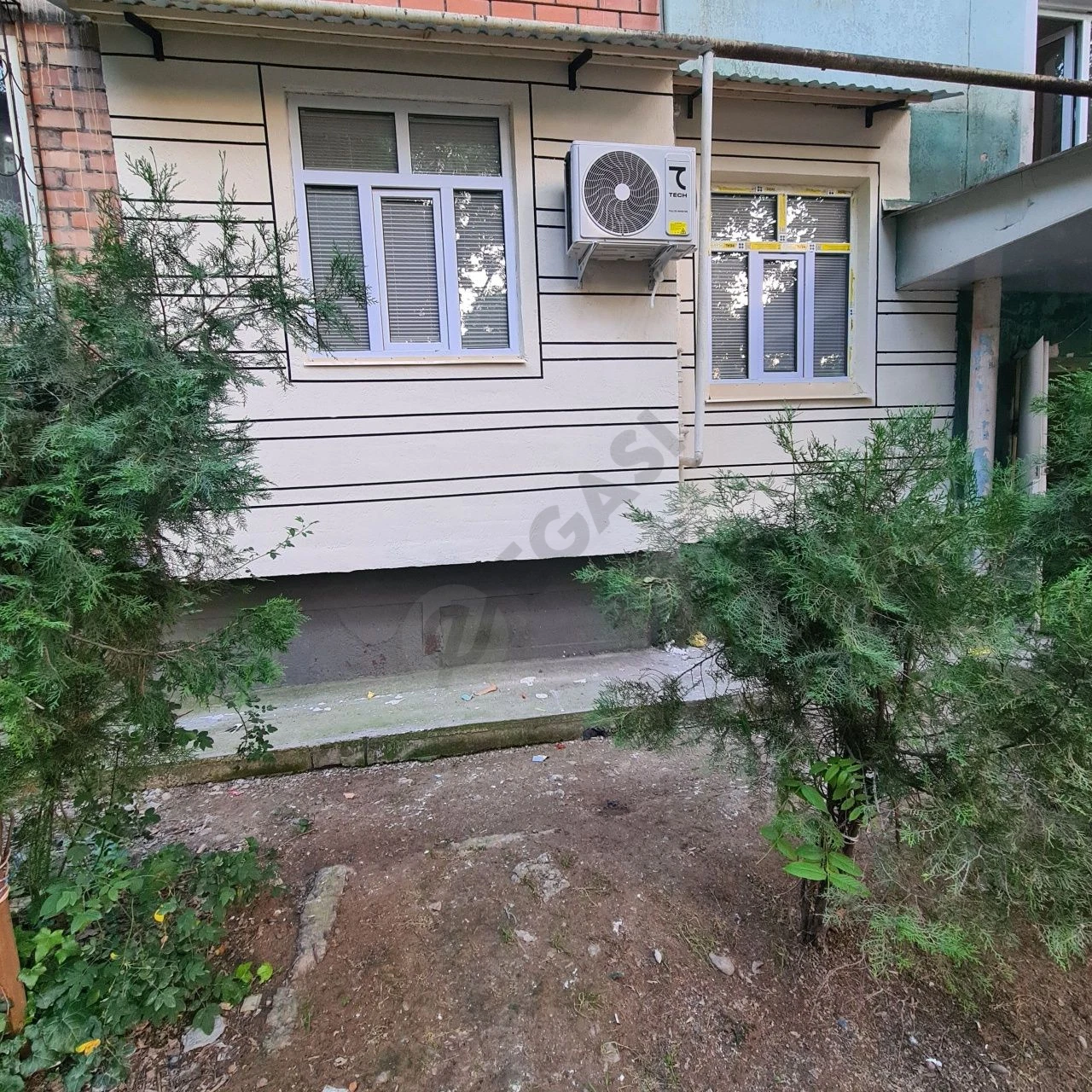 Image 8