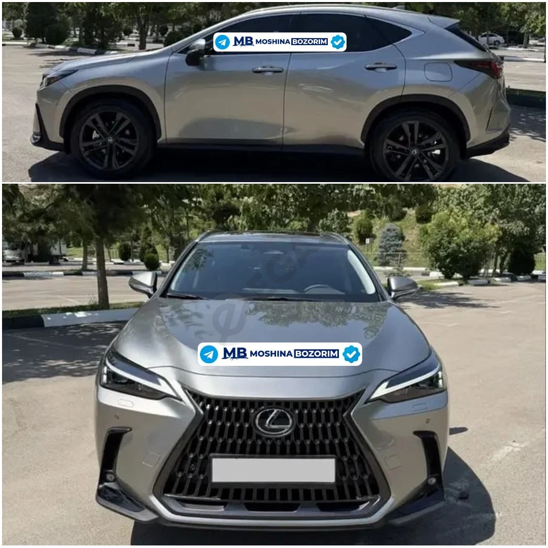 Lexus NX350h 2026 - Cover Photo