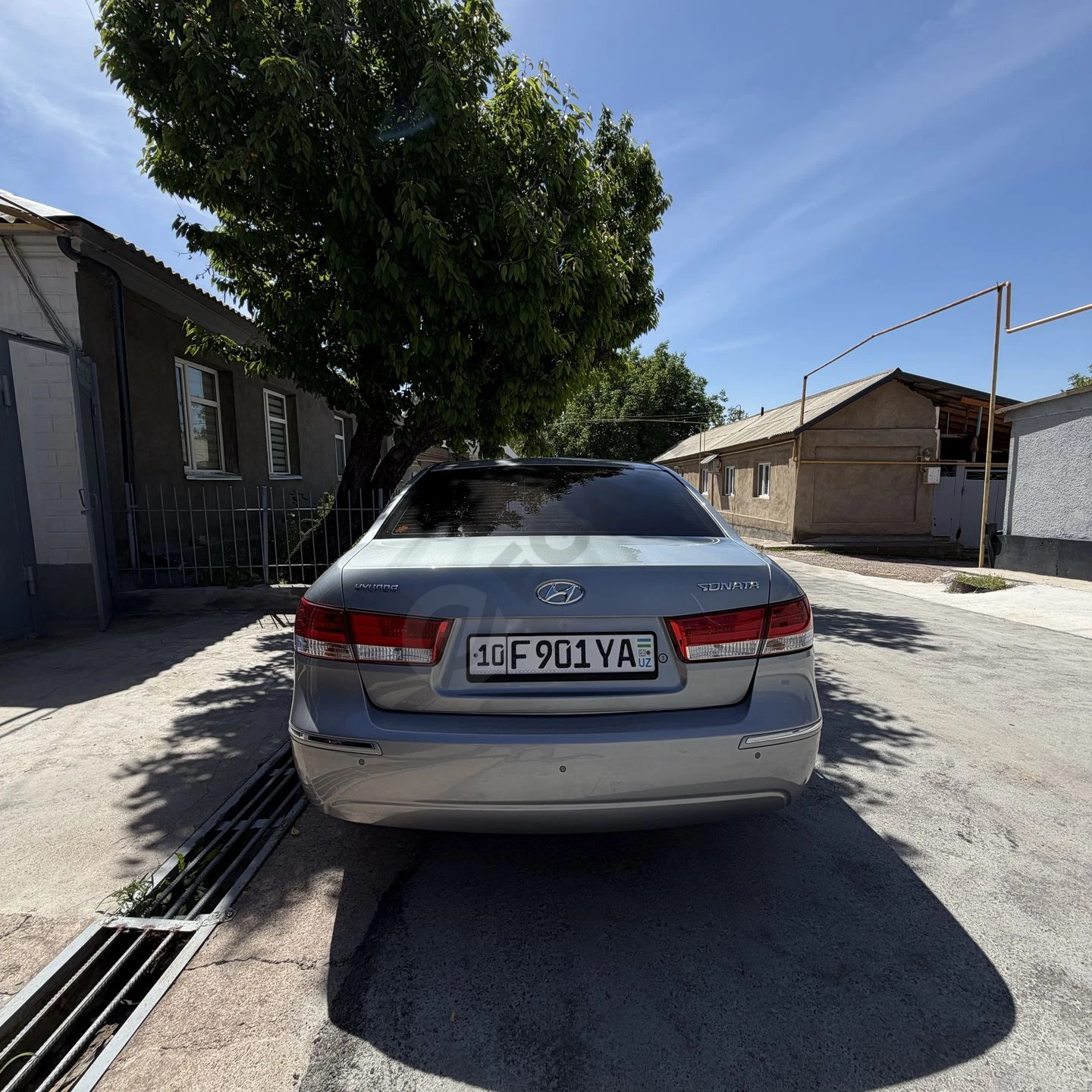 Image 4