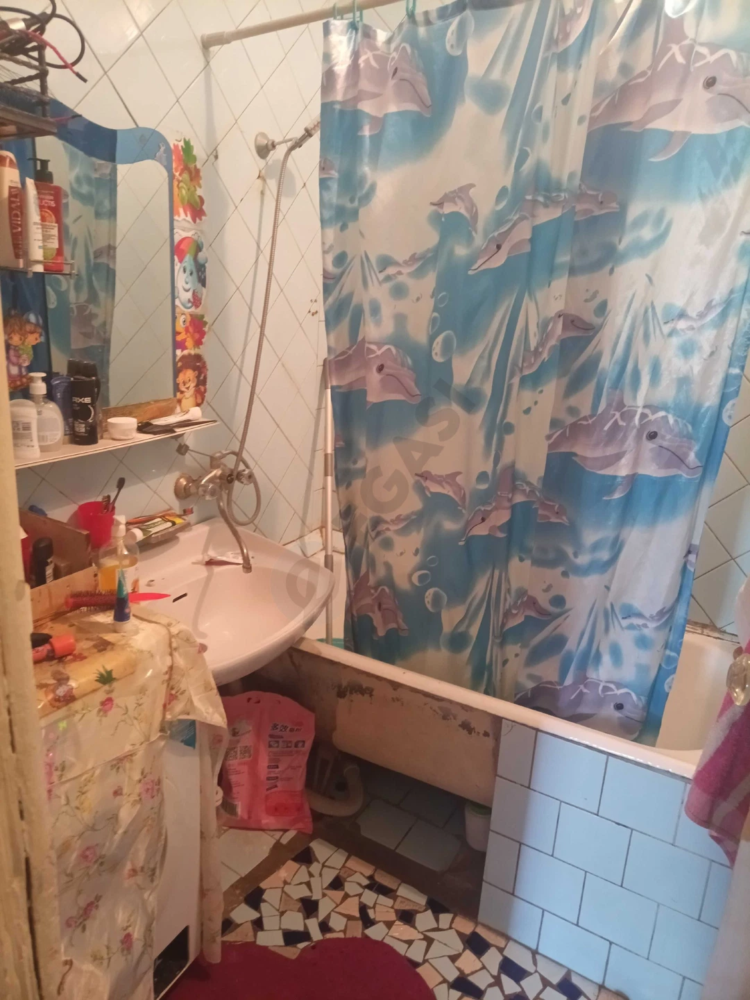 Image 4