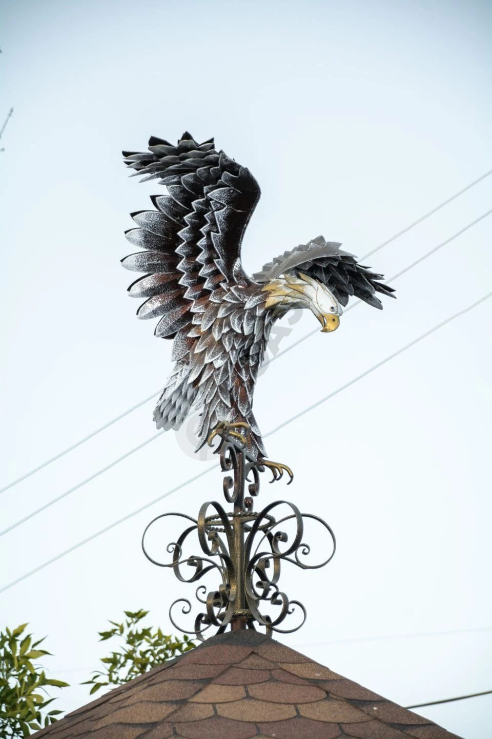 Advertisement - Cover Photo