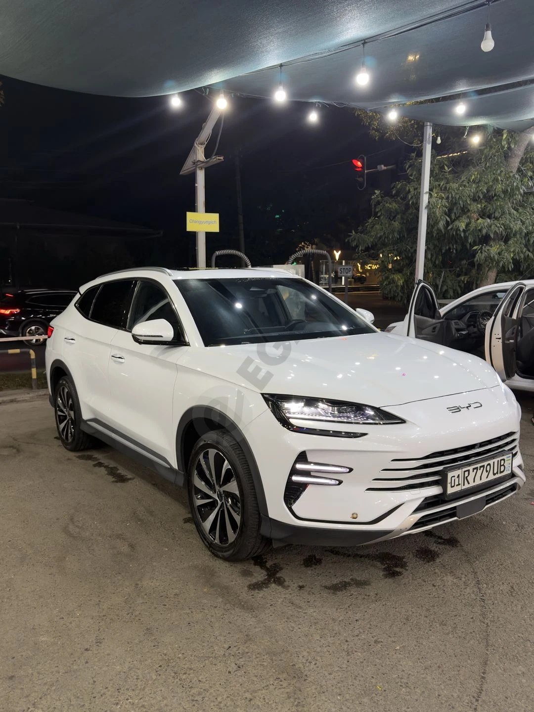 BYD Champion Hybrid " FULL " - Cover Photo