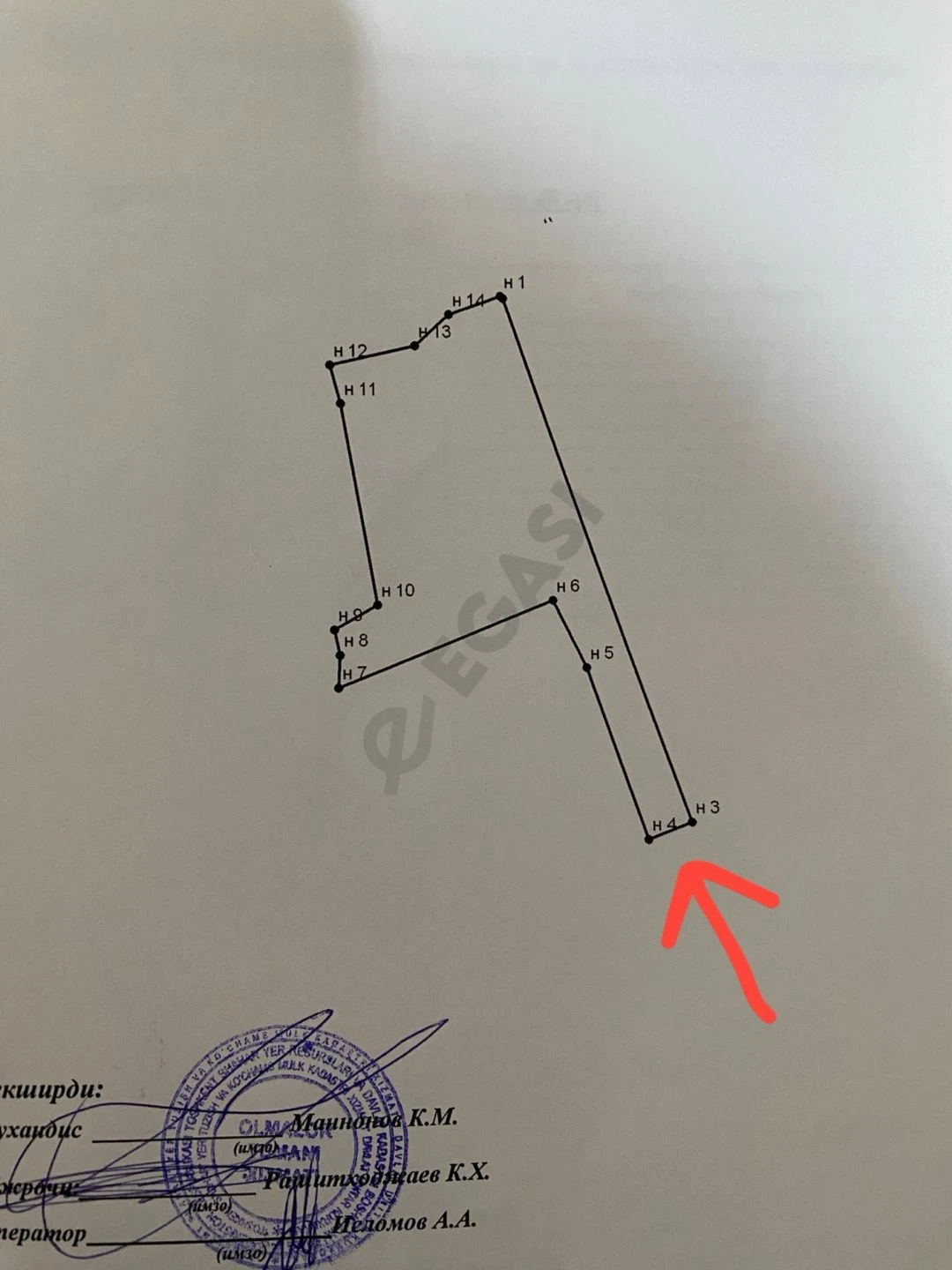 Image 7