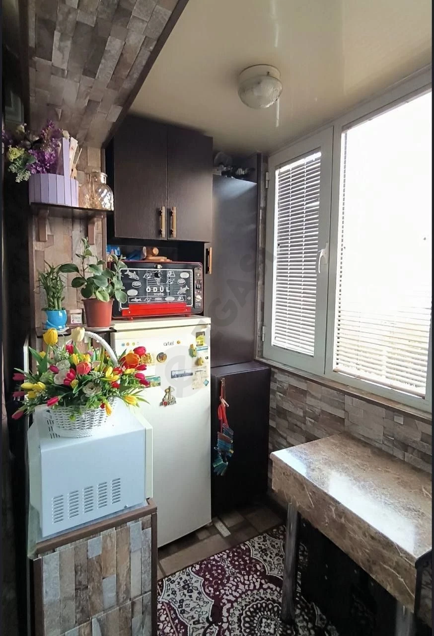 Image 6