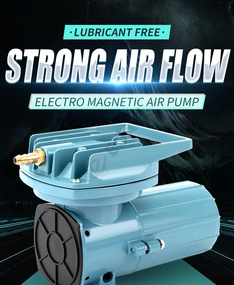 Advertisement - Cover Photo