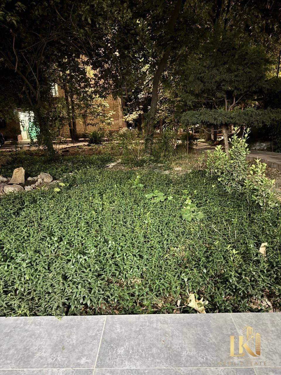 Image 7