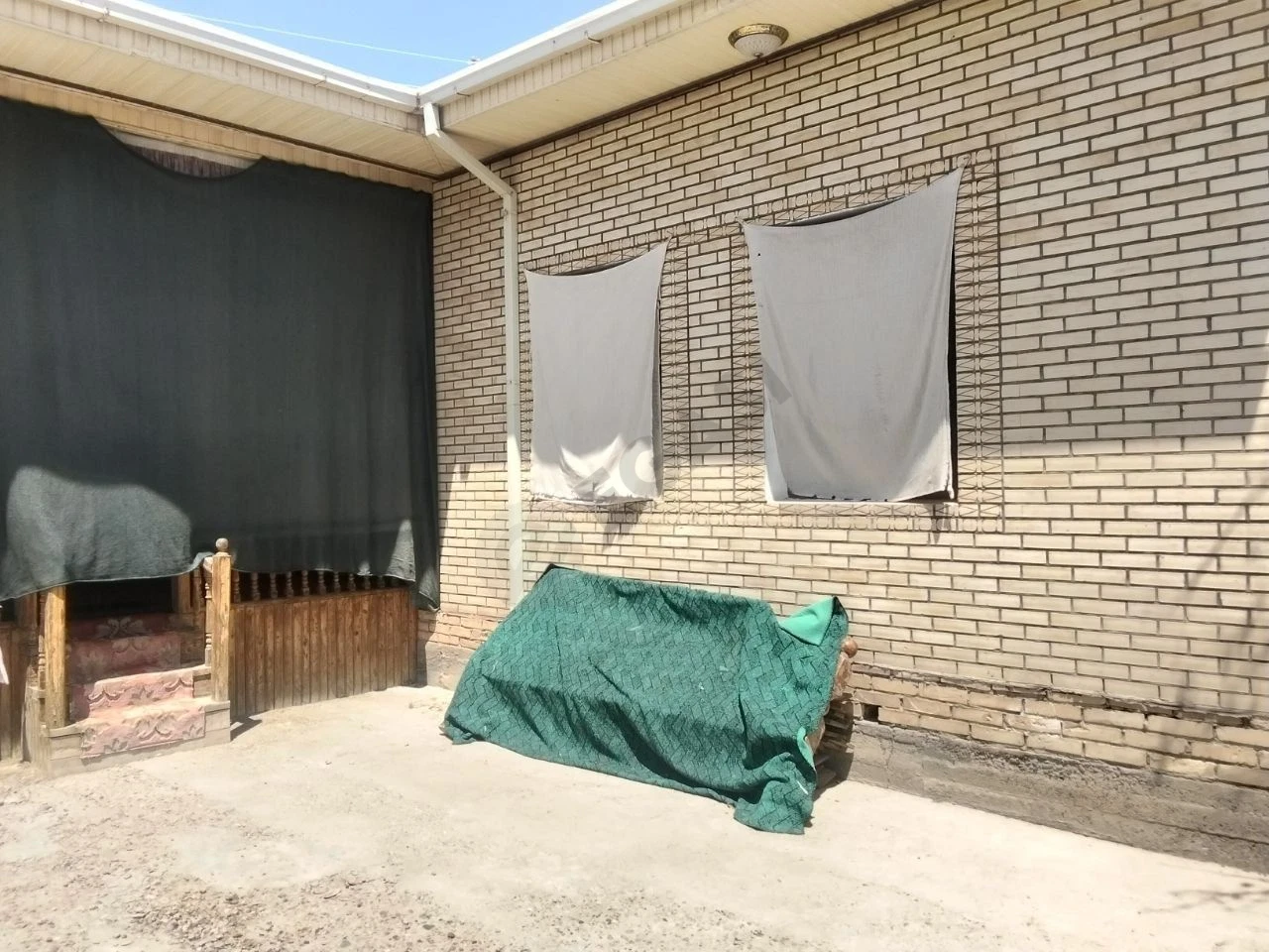 Image 6