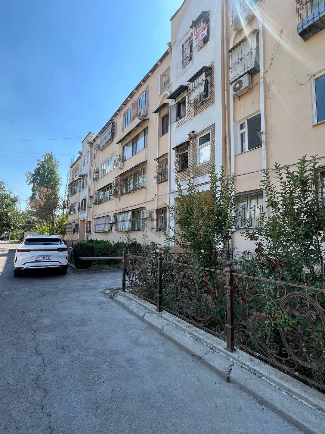 Image 8
