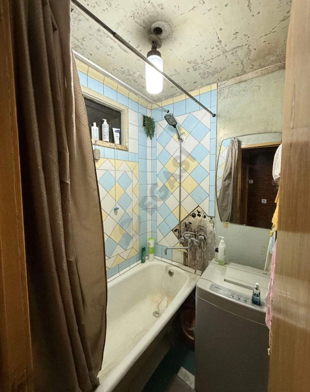 Image 5
