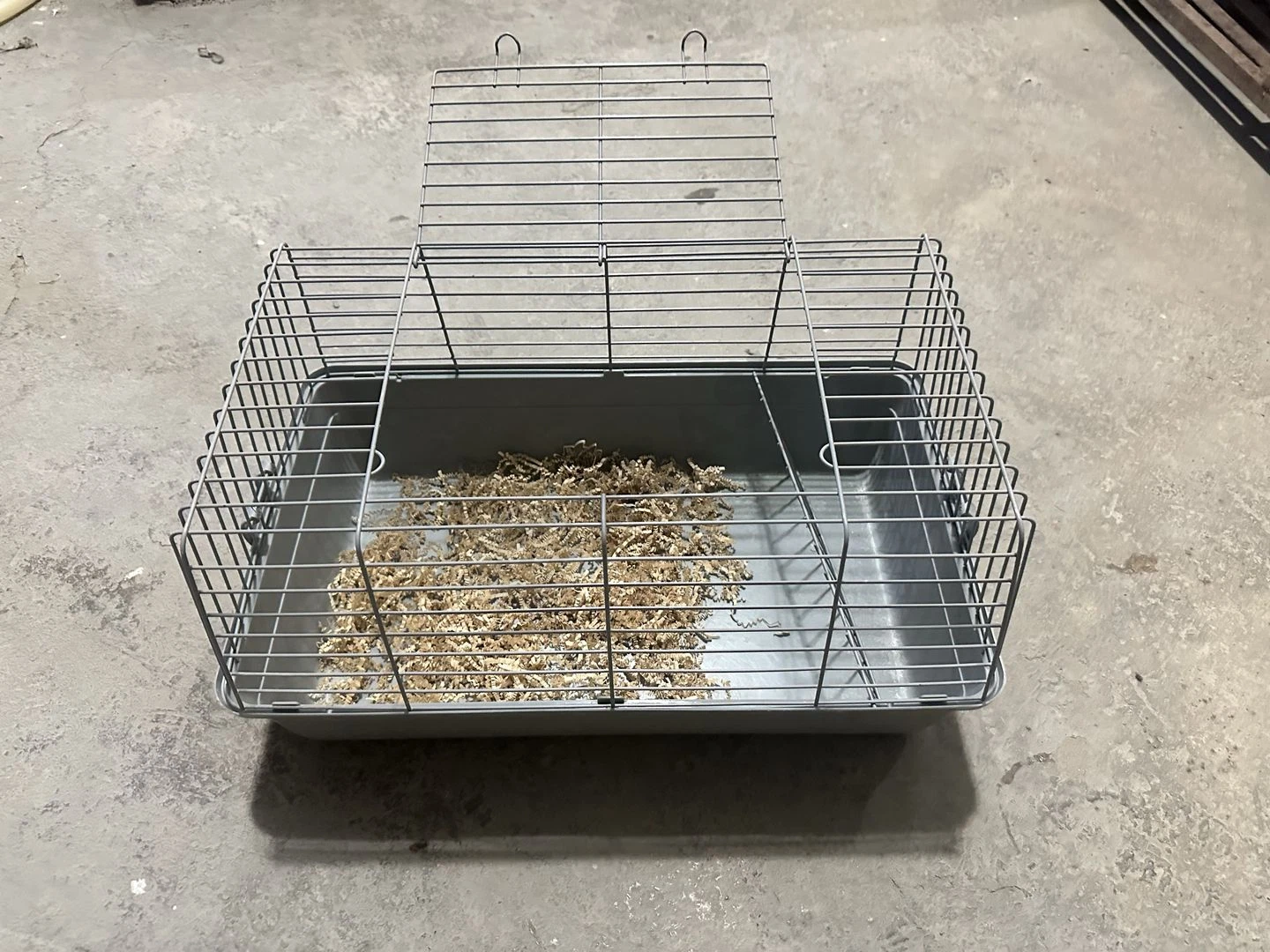 Image 5