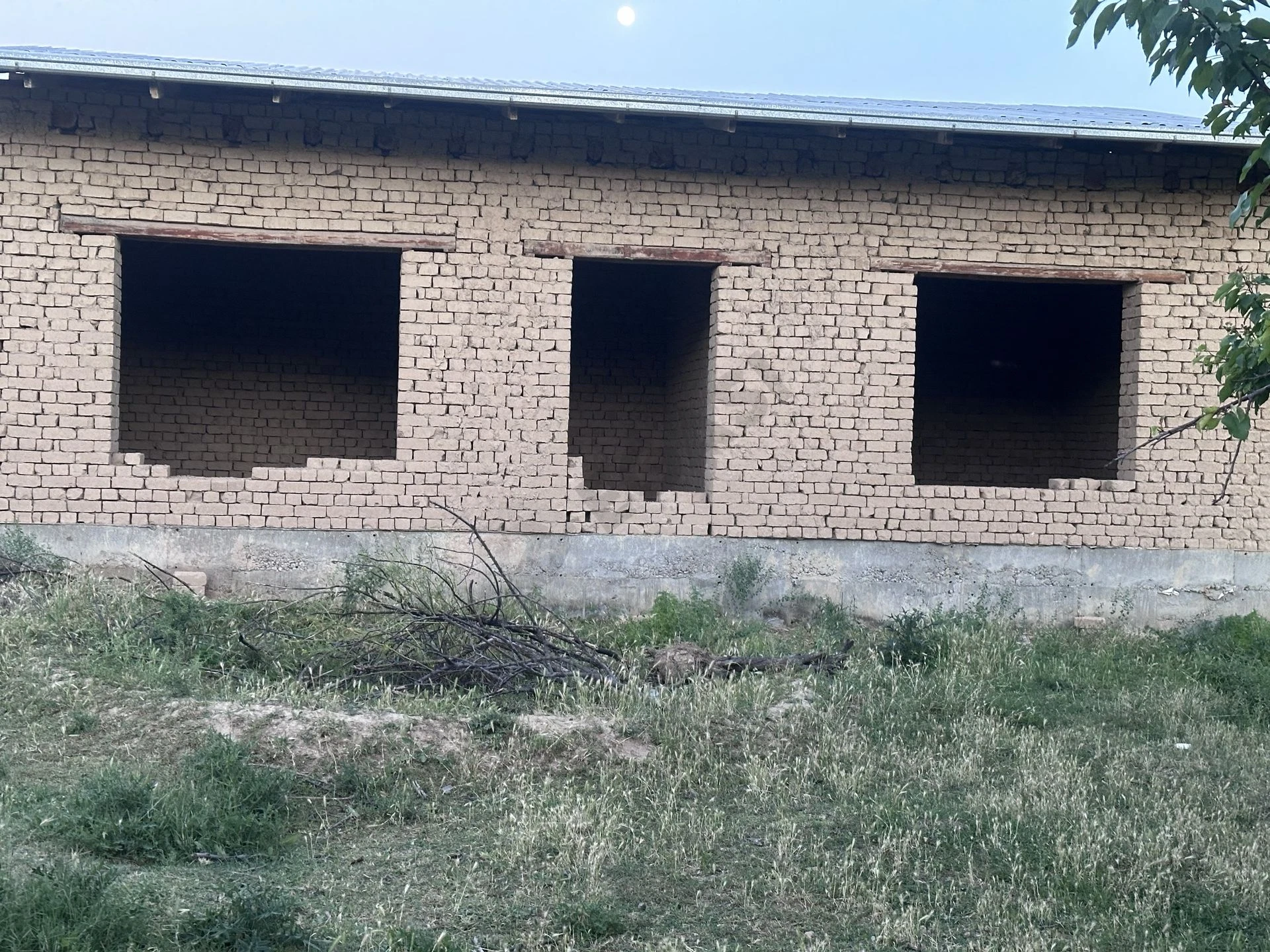 Image 4