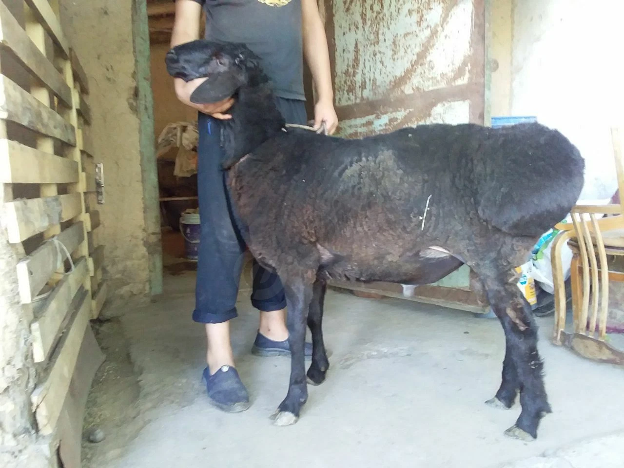 Image 3