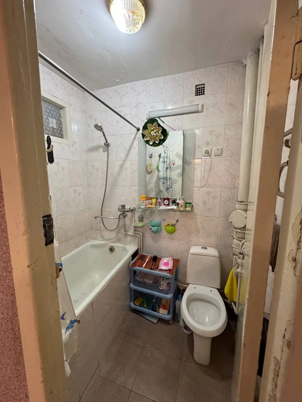 Image 6