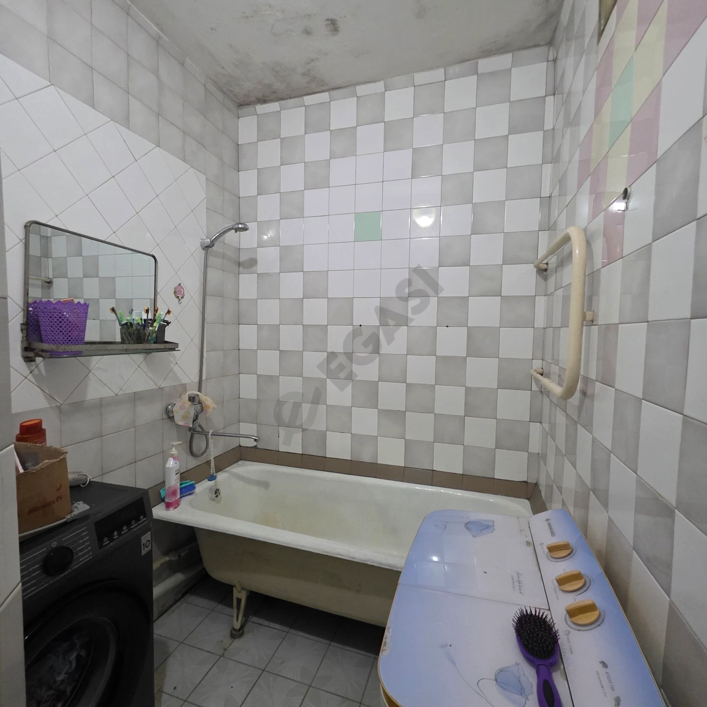 Image 5