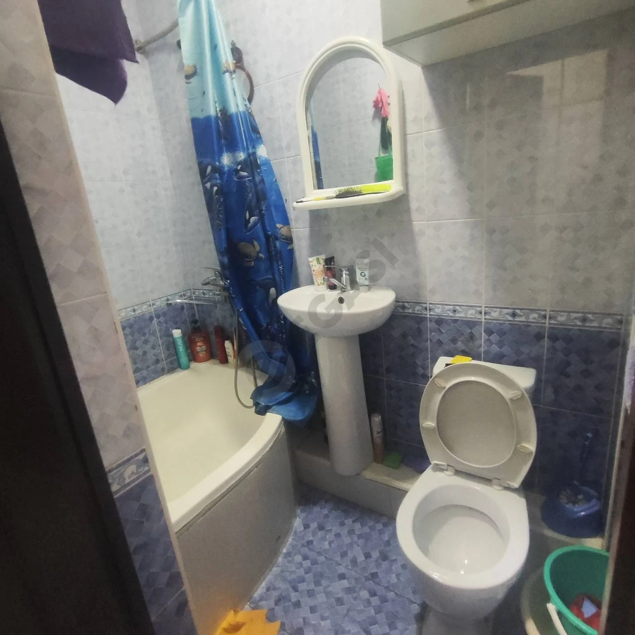 Image 3