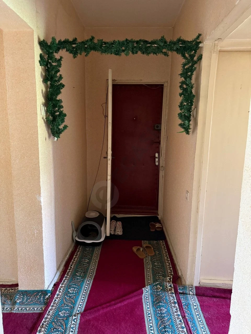 Image 6