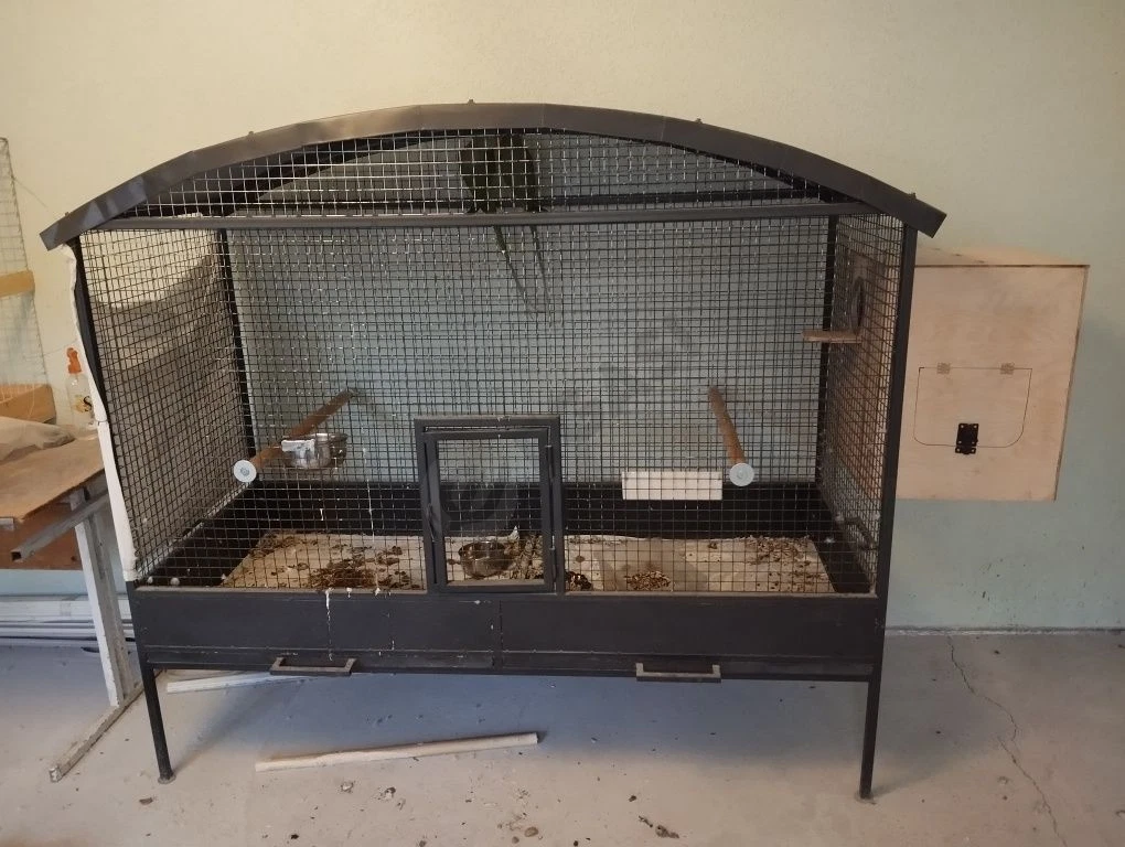 Image 7