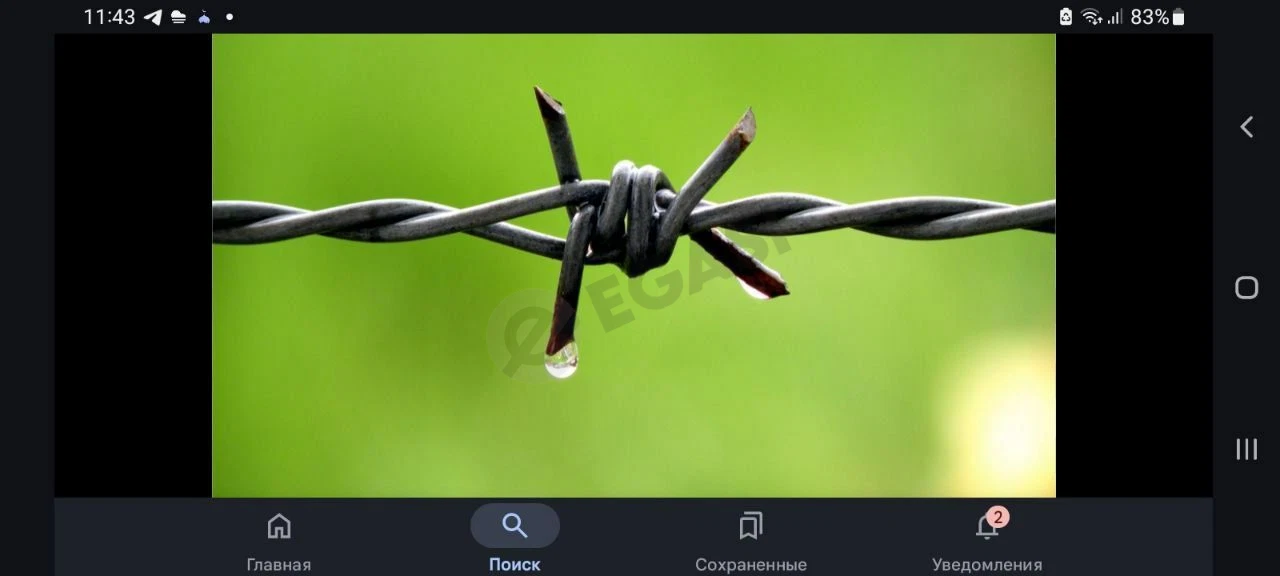 Тиконлий симлар бор - Cover Photo