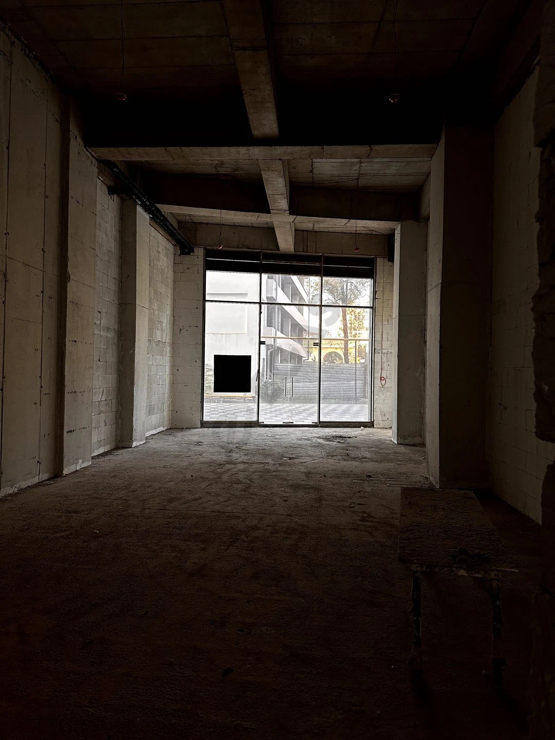 Image 7