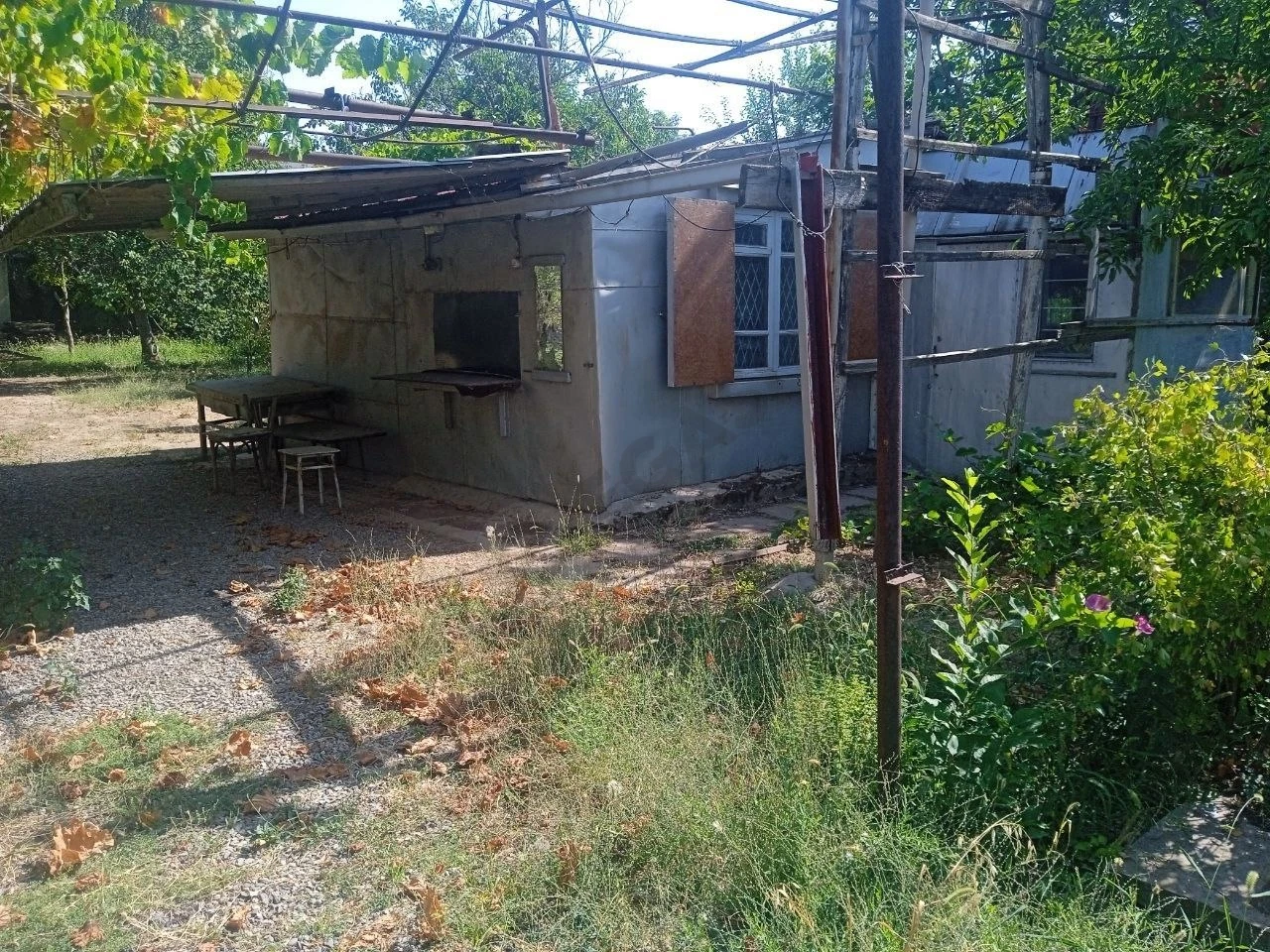 Image 6
