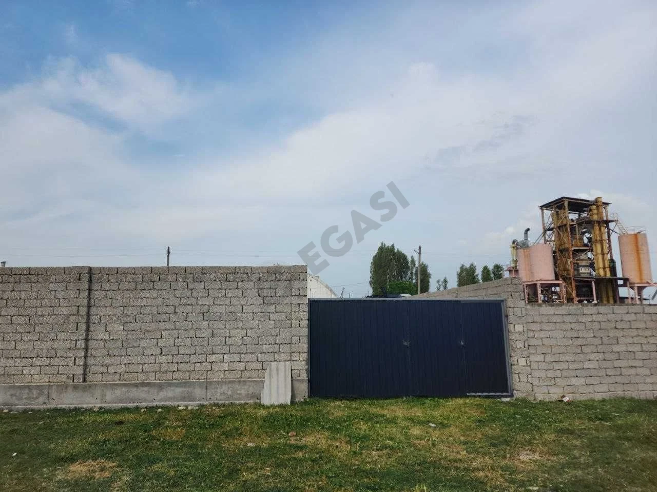 Image 6