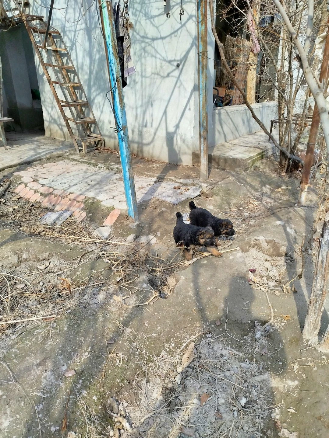 Image 2