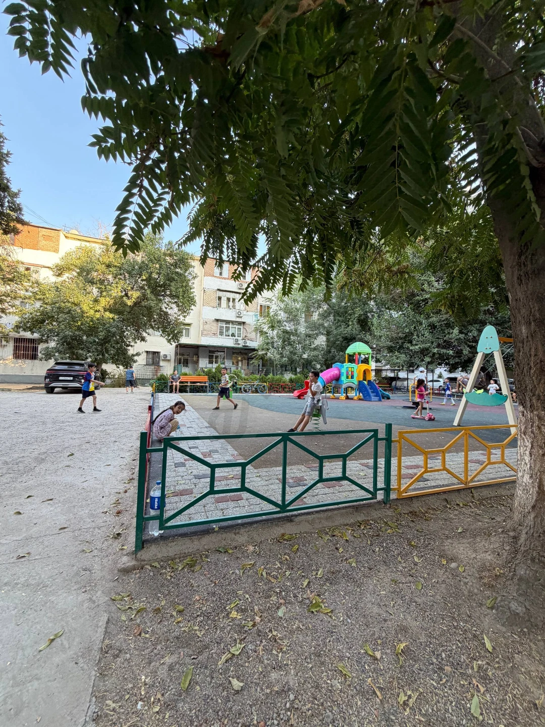 Image 8