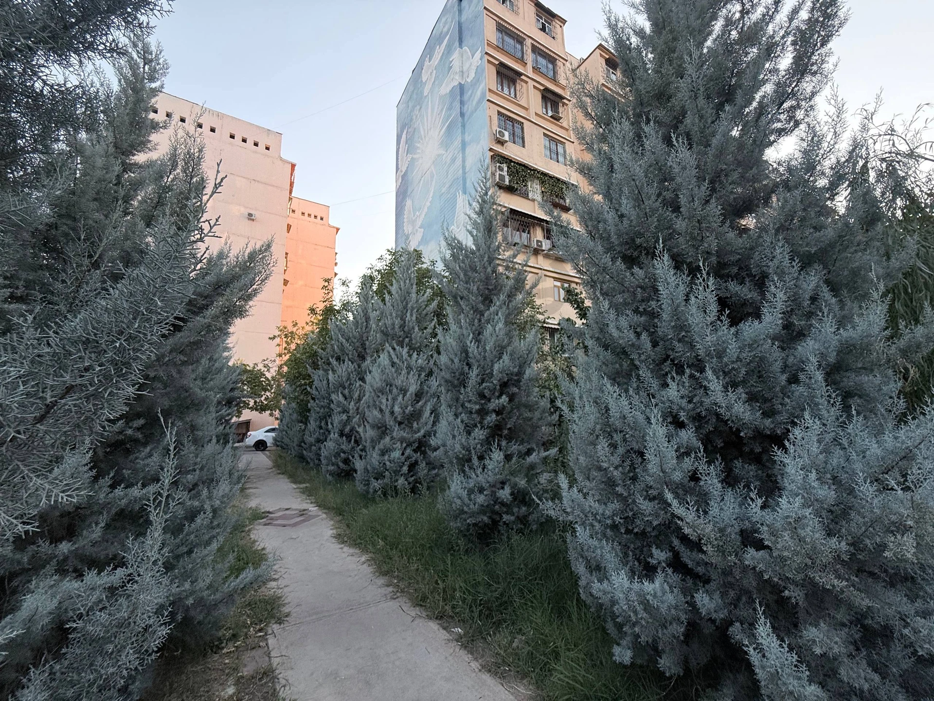 4-комнатная квартира Юнусабад 9кв - Cover Photo