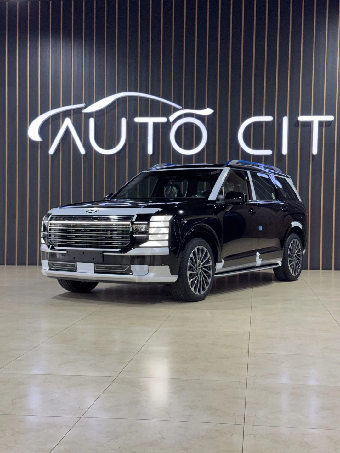Hyundai Palisade Hybrid Calligraphy - Cover Photo
