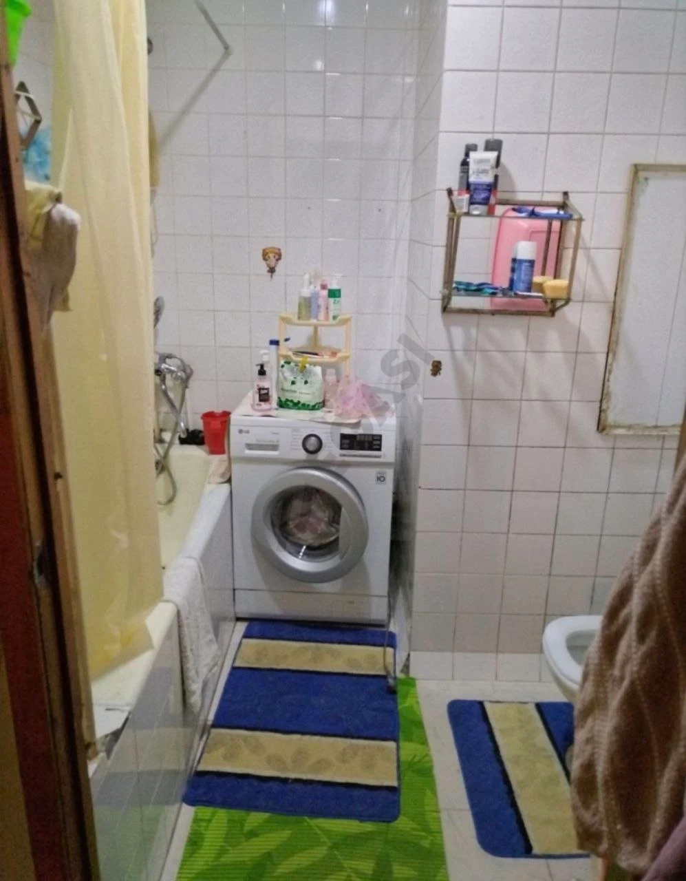 Image 5