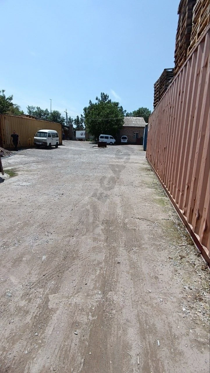 Image 6