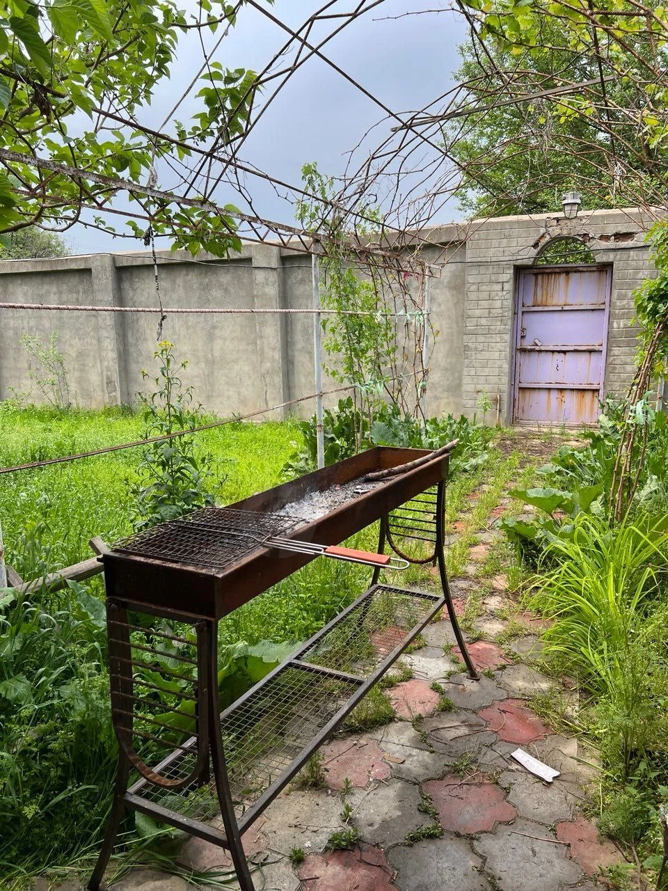 Image 4