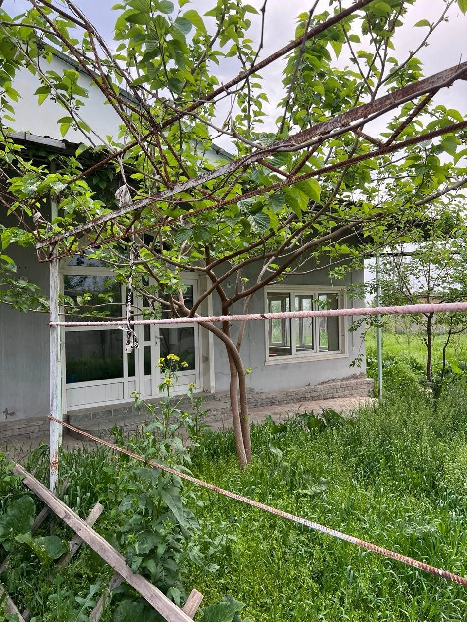 Image 10