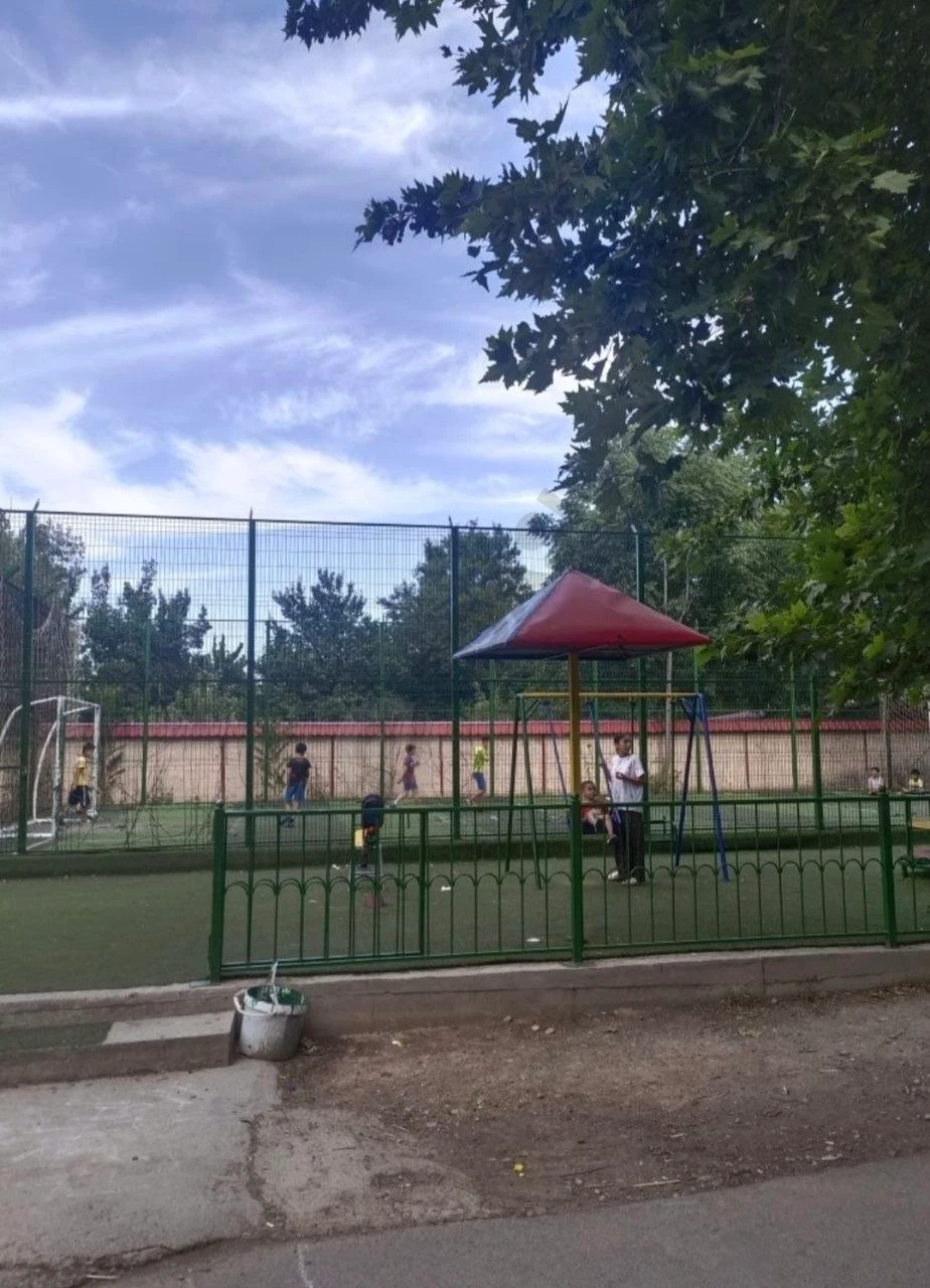 Image 4