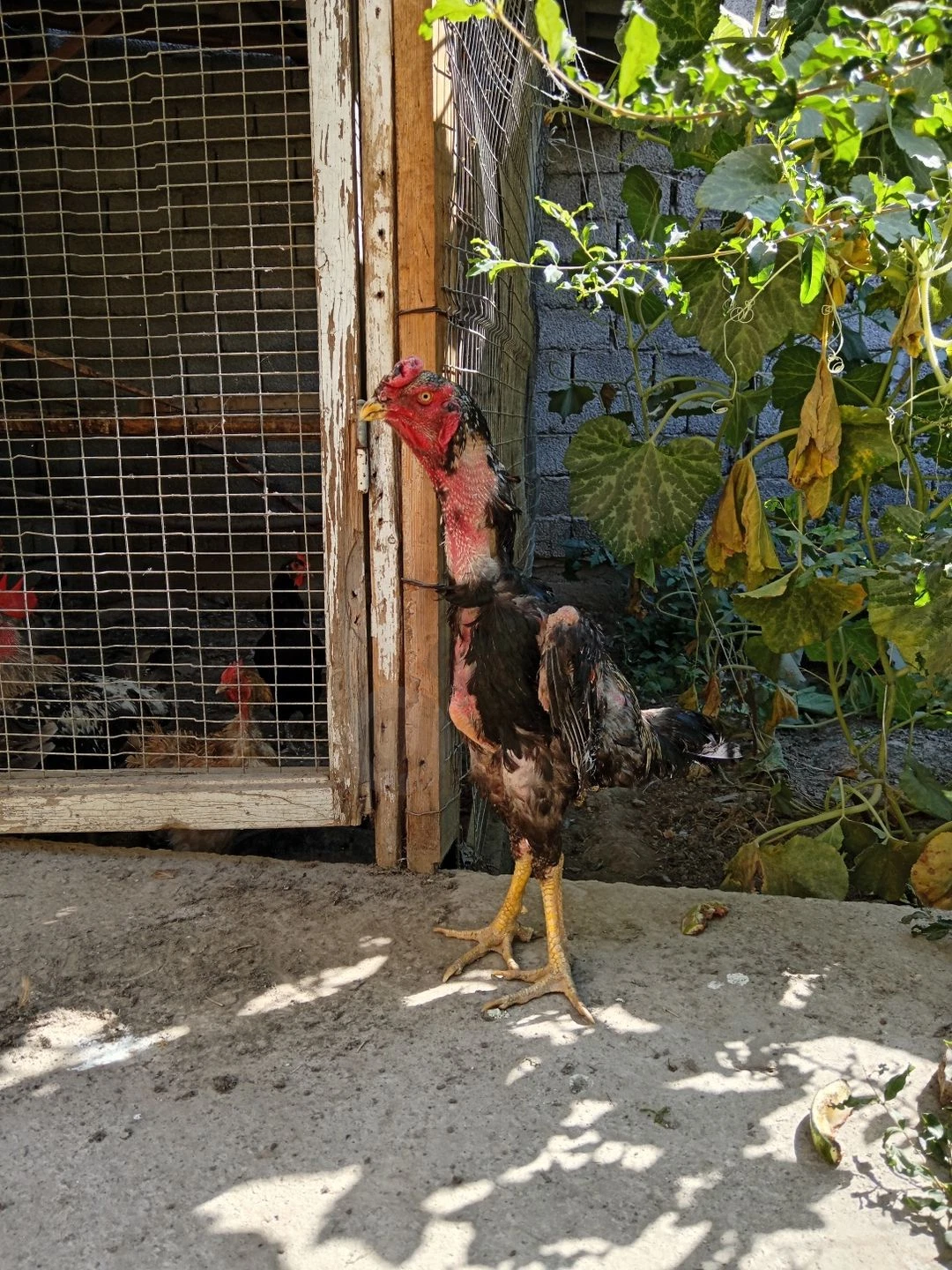 Image 6