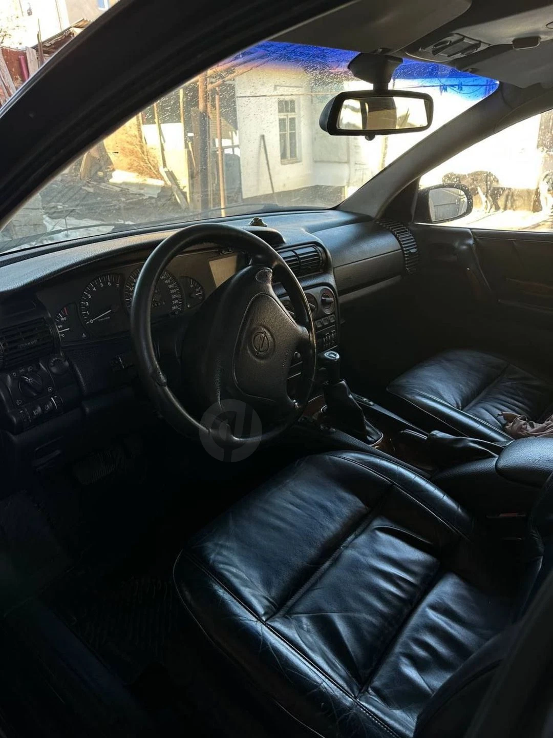 Image 7