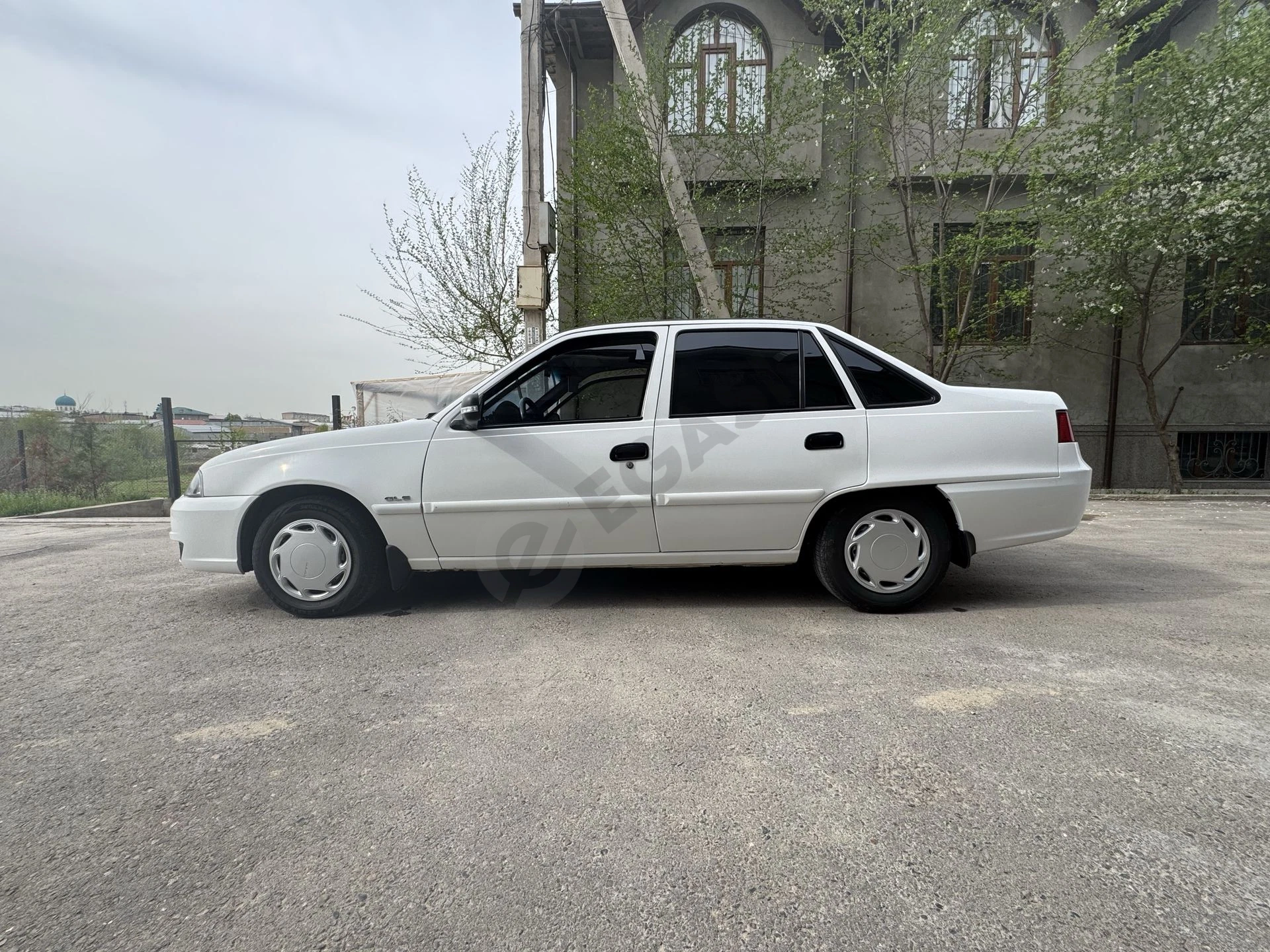 Image 6